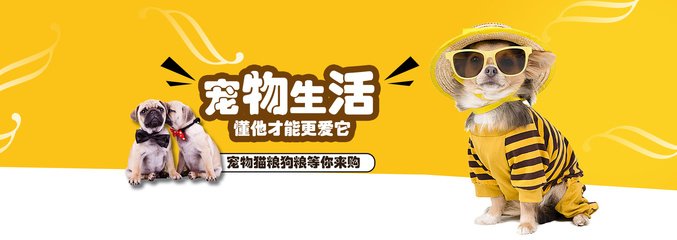 2025新澳门正版挂牌详情